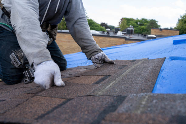 Best Roof Maintenance Services  in Iron River, MI